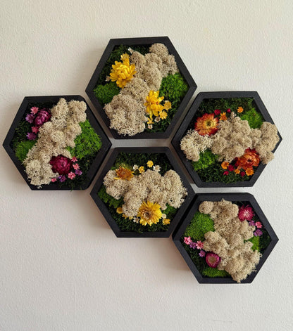 Honeycomb Moss Wall Art: Wood Hexagon Frame, Reindeer Moss & Flowers | USA - TARIFF FREE