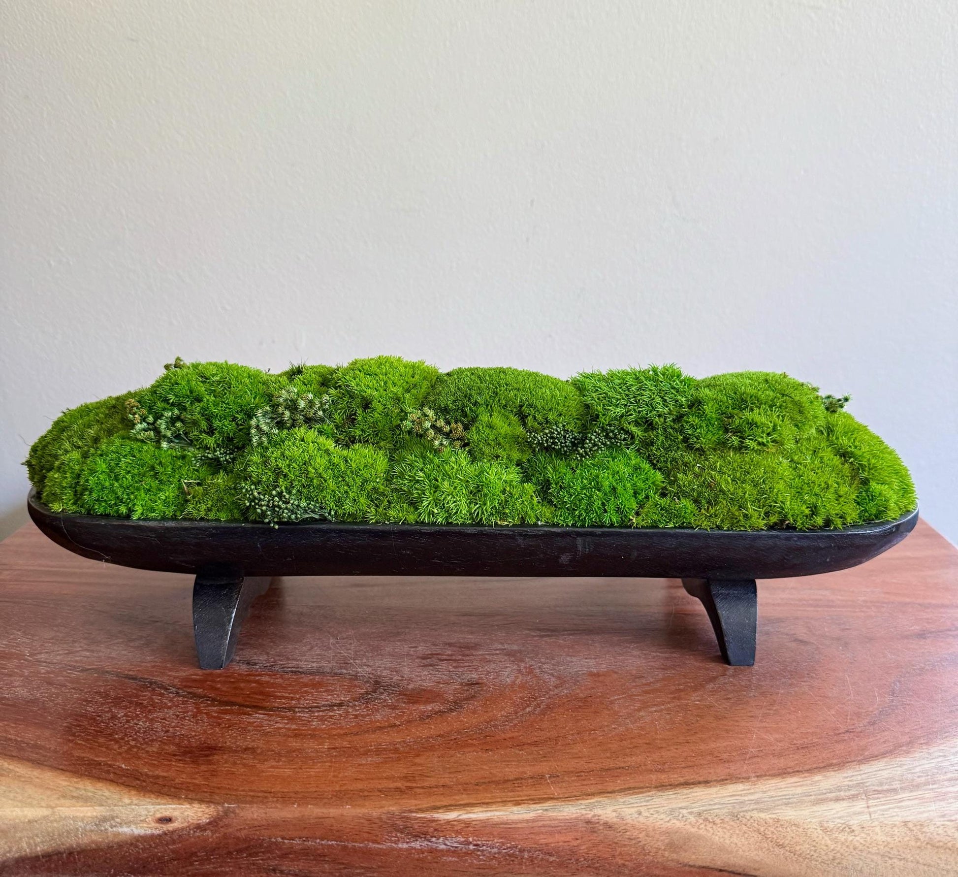 preserved pole moss Preserved Moss Centerpiece: Pole & Reindeer Moss in Black Wood Bowl