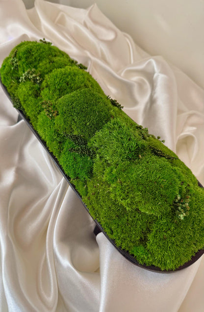 Preserved Moss Centerpiece: Pole & Reindeer Moss in Black Wood Bowl | USA - TARIFF FREE