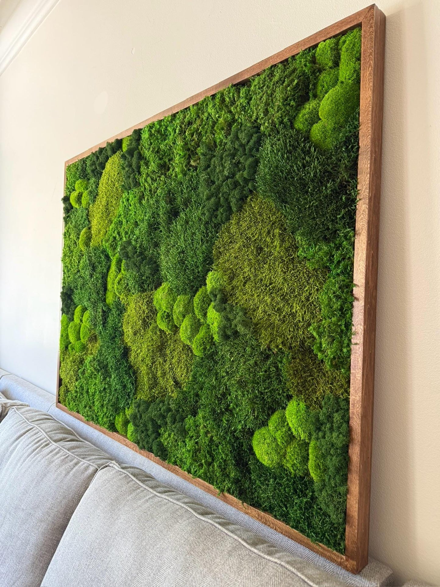 Large Preserved Reindeer Moss Wall Art in Wood Frame (36" x 48") | USA - TARIFF FREE