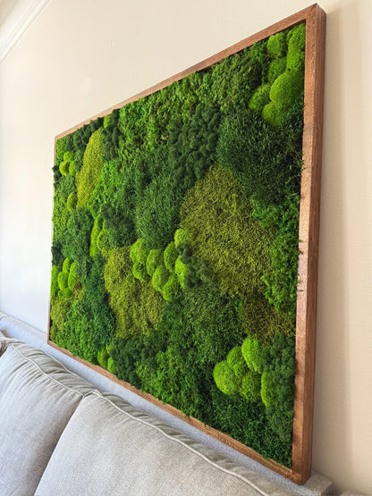 Large Preserved Reindeer Moss Wall Art in Wood Frame (36" x 48") | USA - TARIFF FREE