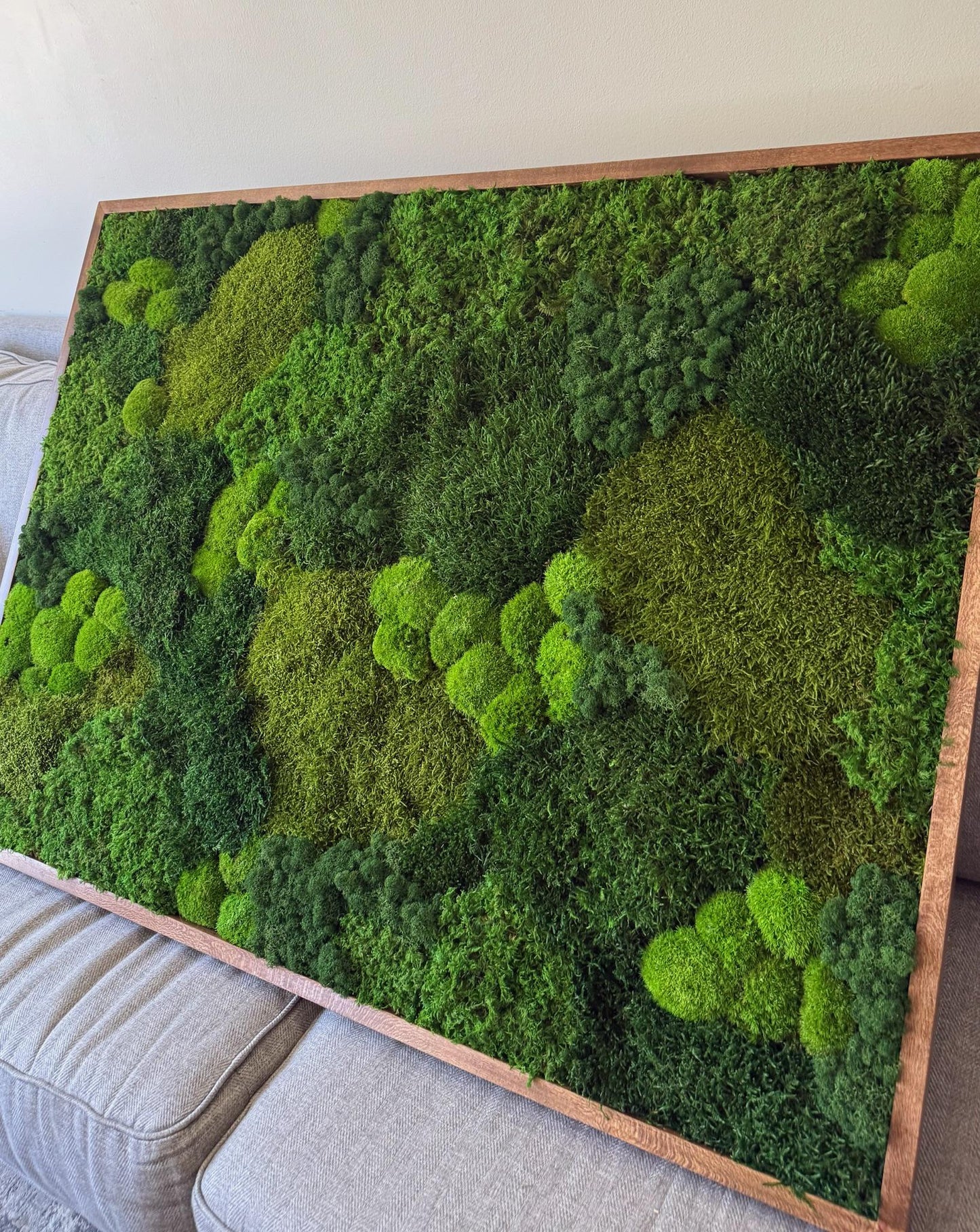 Large Preserved Reindeer Moss Wall Art in Wood Frame (36" x 48") | USA - TARIFF FREE