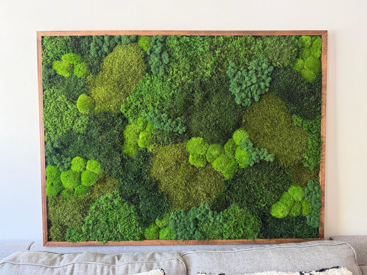 Large Preserved Reindeer Moss Wall Art in Wood Frame (36" x 48") | USA - TARIFF FREE
