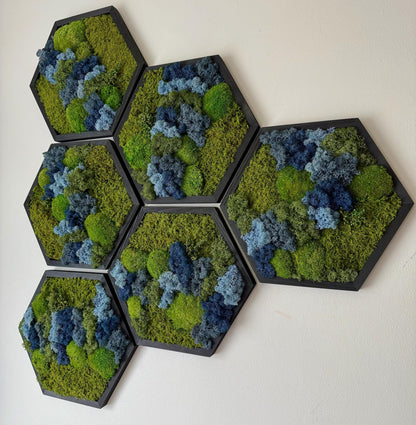 Honeycomb Moss Wall Art: Reindeer, Pole & Sheet Moss in Wood Hexagon | USA - TARIFF FREE