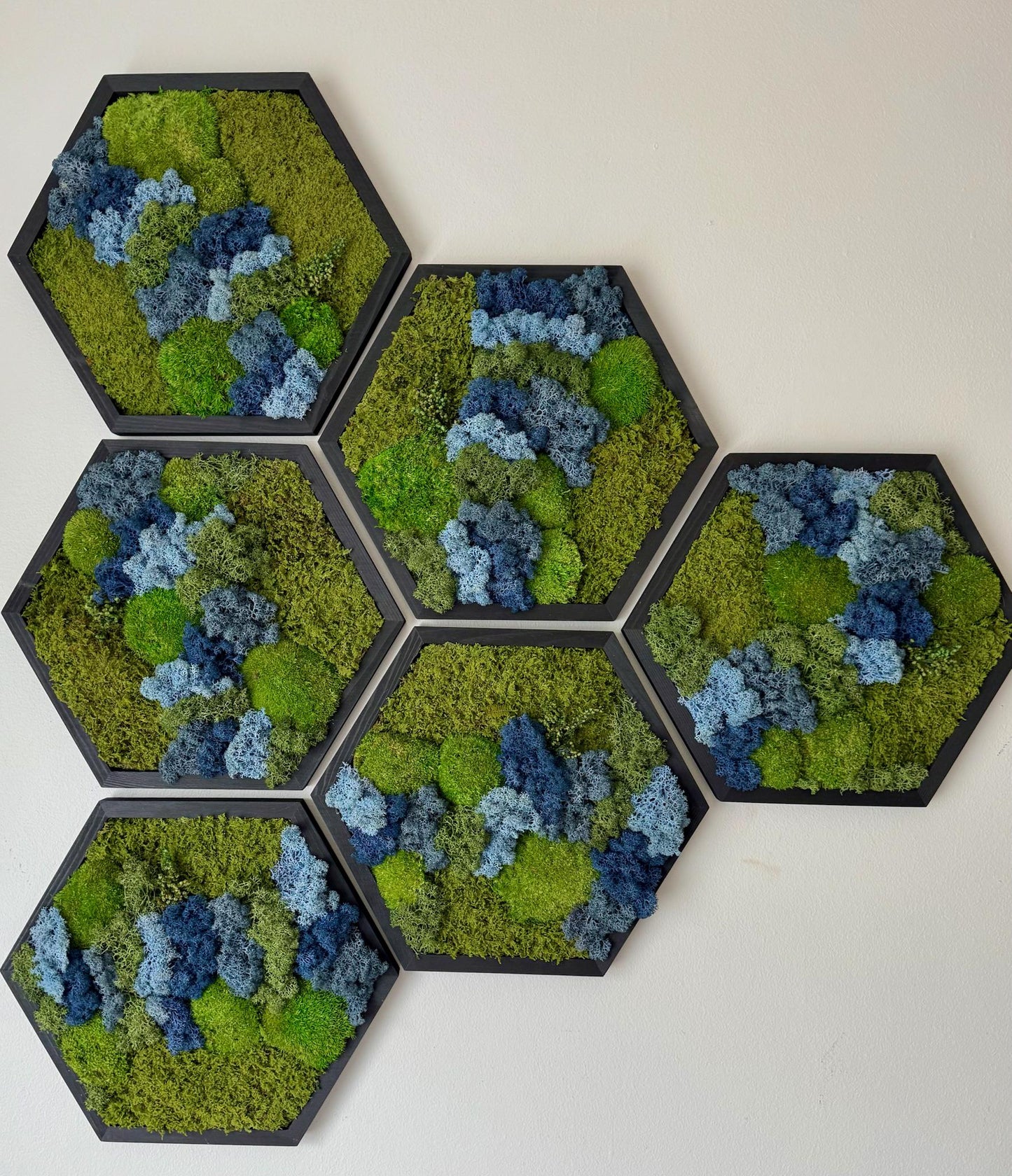 Honeycomb Moss Wall Art: Reindeer, Pole & Sheet Moss in Wood Hexagon | USA - TARIFF FREE