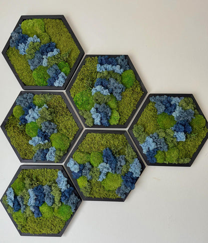 Honeycomb Moss Wall Art: Reindeer, Pole & Sheet Moss in Wood Hexagon | USA - TARIFF FREE