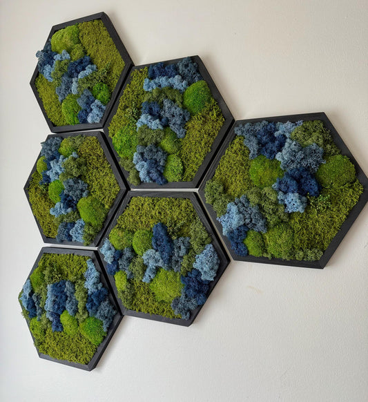 Honeycomb Moss Wall Art: Reindeer, Pole & Sheet Moss in Wood Hexagon | USA - TARIFF FREE