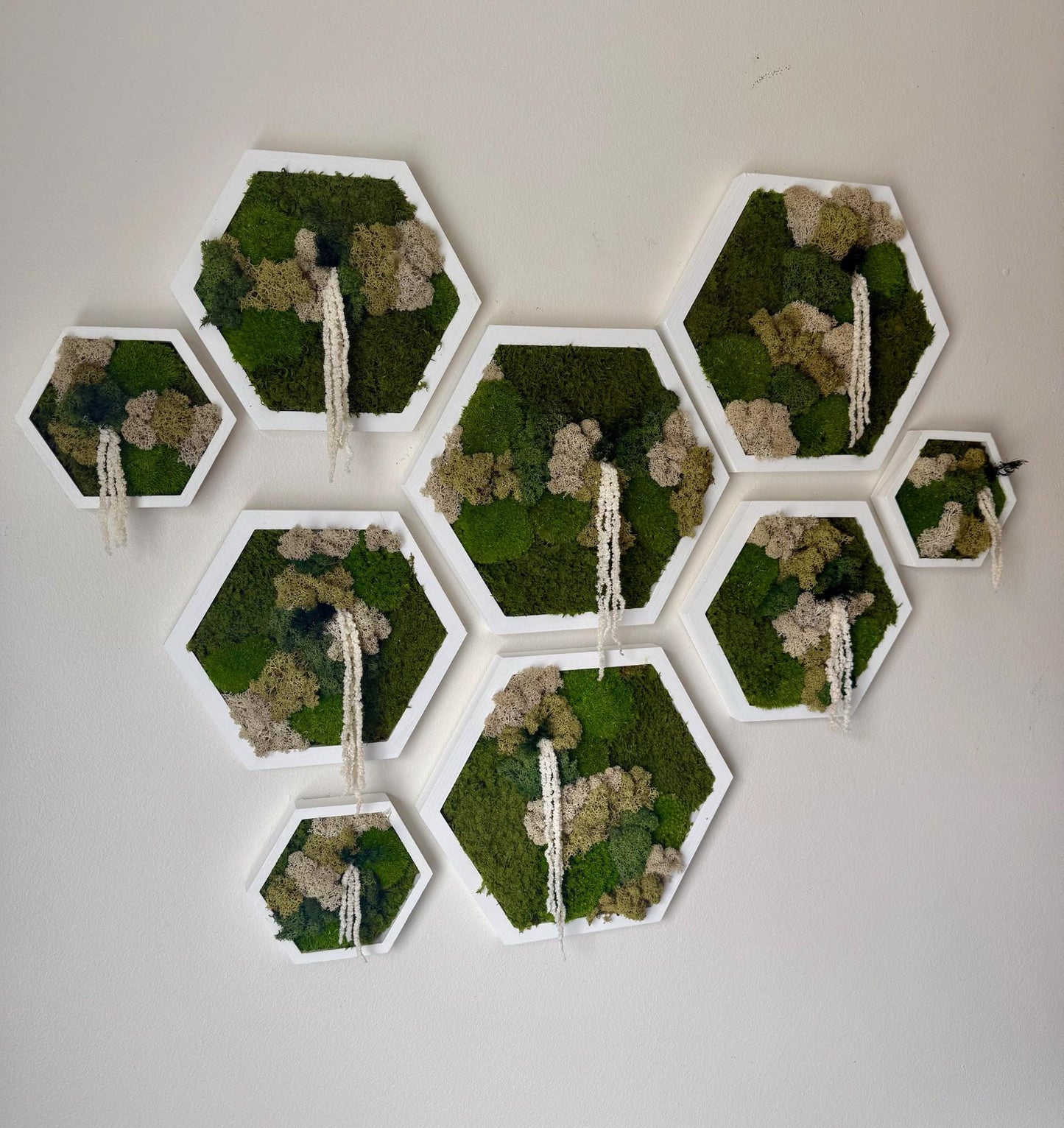 Handmade Moss Wall Art Decor: Wood Hexagon Set with Reindeer Moss | USA - TARIFF FREE