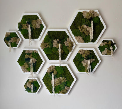 Handmade Moss Wall Art Decor: Wood Hexagon Set with Reindeer Moss | USA - TARIFF FREE