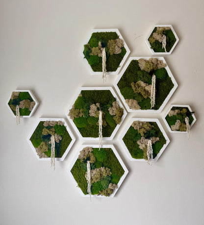 Handmade Moss Wall Art Decor: Wood Hexagon Set with Reindeer Moss | USA - TARIFF FREE
