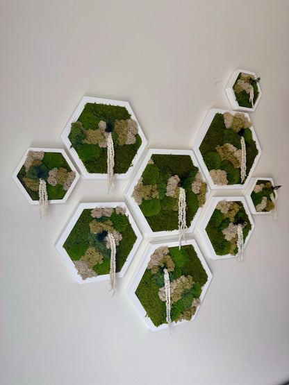 Handmade Moss Wall Art Decor: Wood Hexagon Set with Reindeer Moss | USA - TARIFF FREE