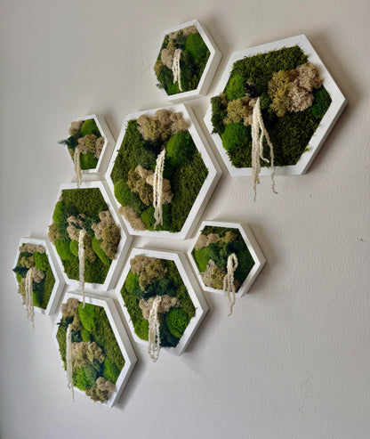 Handmade Moss Wall Art Decor: Wood Hexagon Set with Reindeer Moss | USA - TARIFF FREE