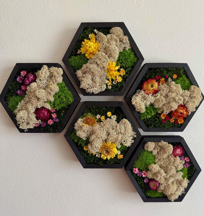 Honeycomb Moss Wall Art: Wood Hexagon Frame, Reindeer Moss & Flowers | USA - TARIFF FREE