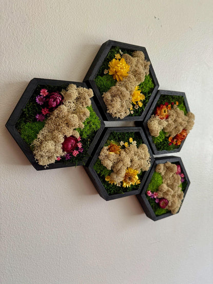 Honeycomb Moss Wall Art: Wood Hexagon Frame, Reindeer Moss & Flowers | USA - TARIFF FREE