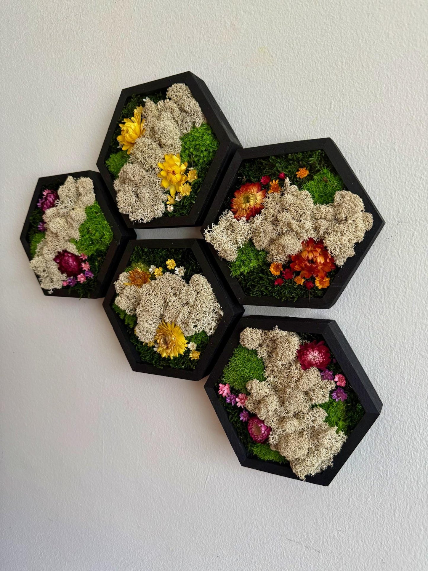 Honeycomb Moss Wall Art: Wood Hexagon Frame, Reindeer Moss & Flowers | USA - TARIFF FREE