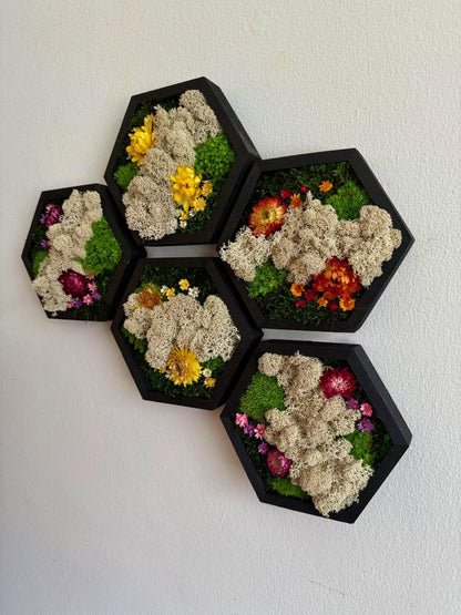Honeycomb Moss Wall Art: Wood Hexagon Frame, Reindeer Moss & Flowers | USA - TARIFF FREE