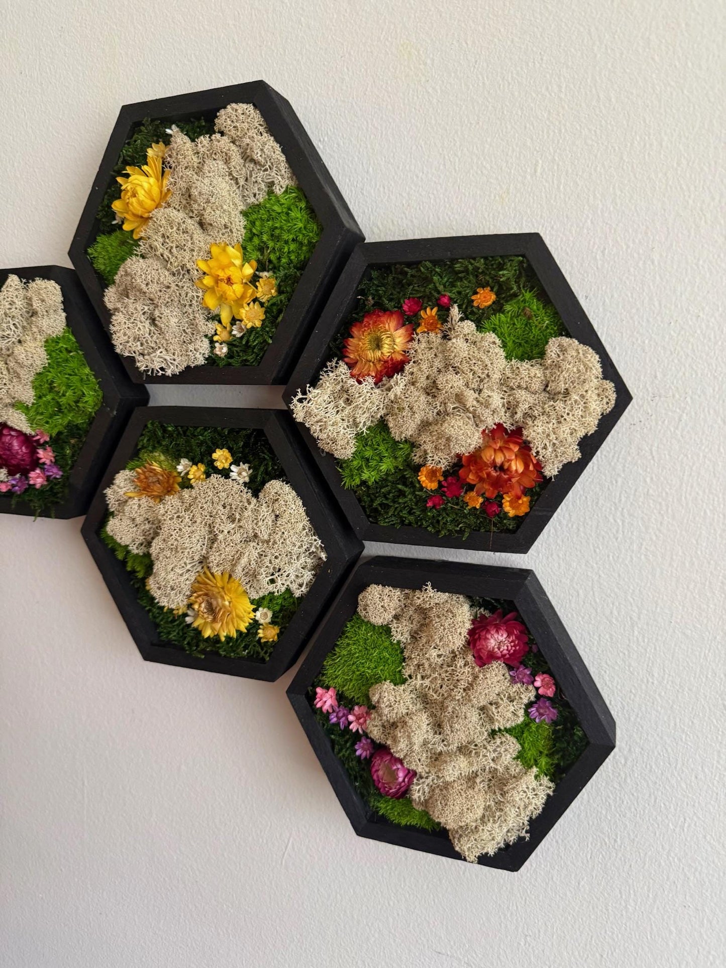 Honeycomb Moss Wall Art: Wood Hexagon Frame, Reindeer Moss & Flowers | USA - TARIFF FREE