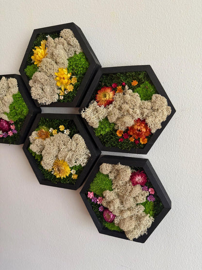 Honeycomb Moss Wall Art: Wood Hexagon Frame, Reindeer Moss & Flowers | USA - TARIFF FREE