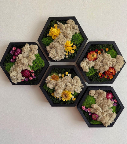 Honeycomb Moss Wall Art: Wood Hexagon Frame, Reindeer Moss & Flowers | USA - TARIFF FREE