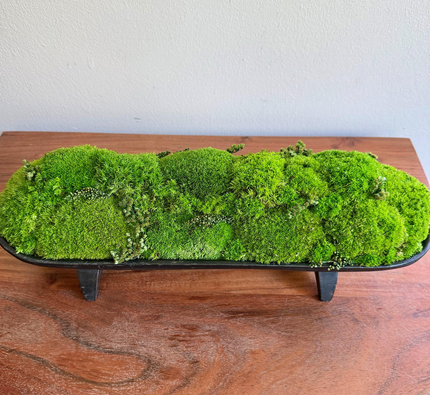 Preserved Moss Centerpiece: Pole & Reindeer Moss in Black Wood Bowl | USA - TARIFF FREE