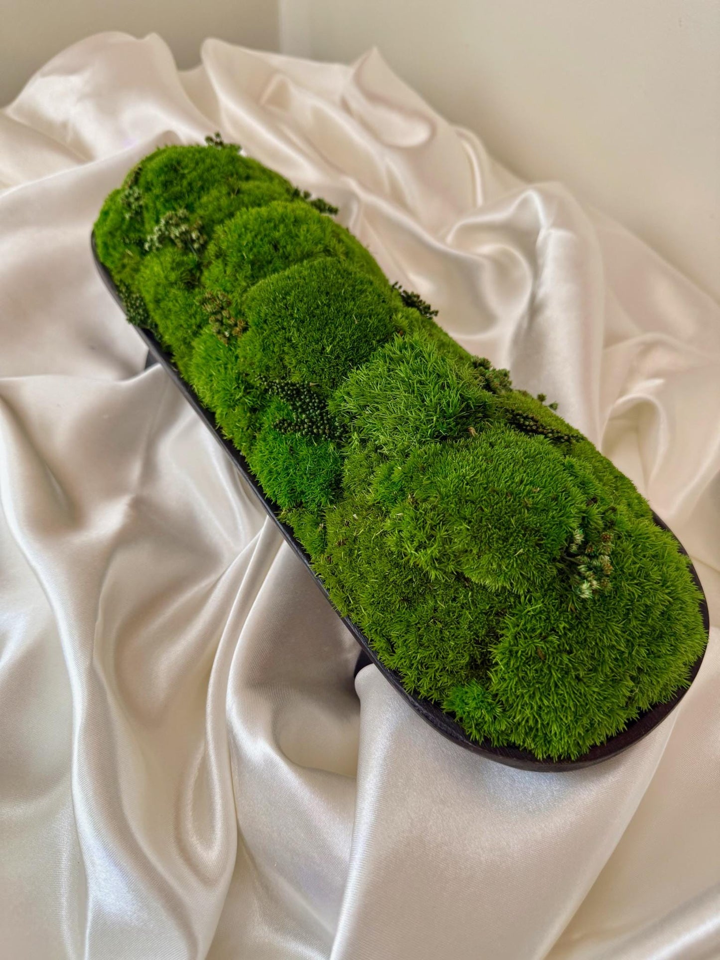 Preserved Moss Centerpiece: Pole & Reindeer Moss in Black Wood Bowl | USA - TARIFF FREE