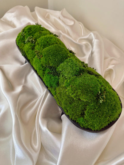 Preserved Moss Centerpiece: Pole & Reindeer Moss in Black Wood Bowl | USA - TARIFF FREE
