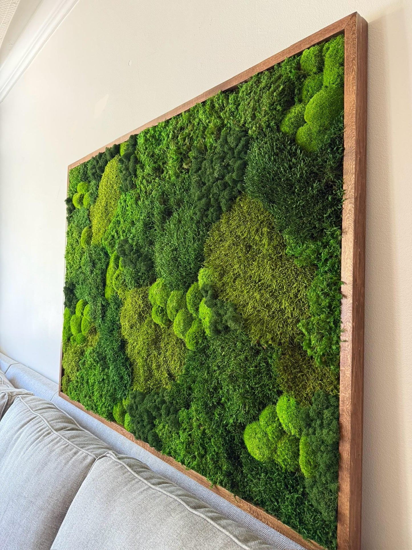 Large Preserved Reindeer Moss Wall Art in Wood Frame (36" x 48") | USA - TARIFF FREE
