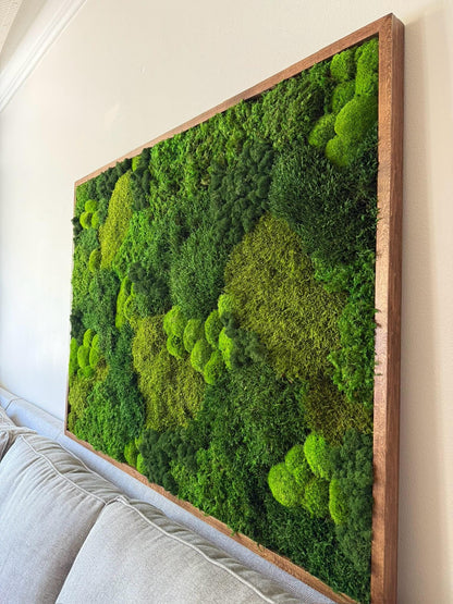 Large Preserved Reindeer Moss Wall Art in Wood Frame (36" x 48") | USA - TARIFF FREE
