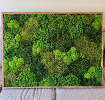 Large Preserved Reindeer Moss Wall Art in Wood Frame (36" x 48") | USA - TARIFF FREE