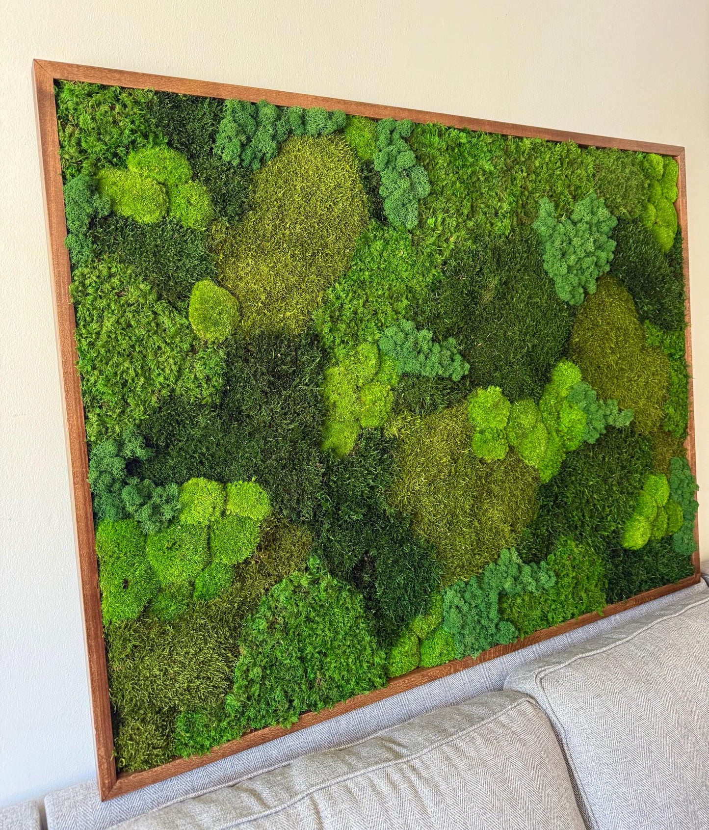 Large Preserved Reindeer Moss Wall Art in Wood Frame (36" x 48") | USA - TARIFF FREE