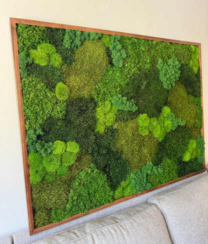 Large Preserved Reindeer Moss Wall Art in Wood Frame (36" x 48") | USA - TARIFF FREE