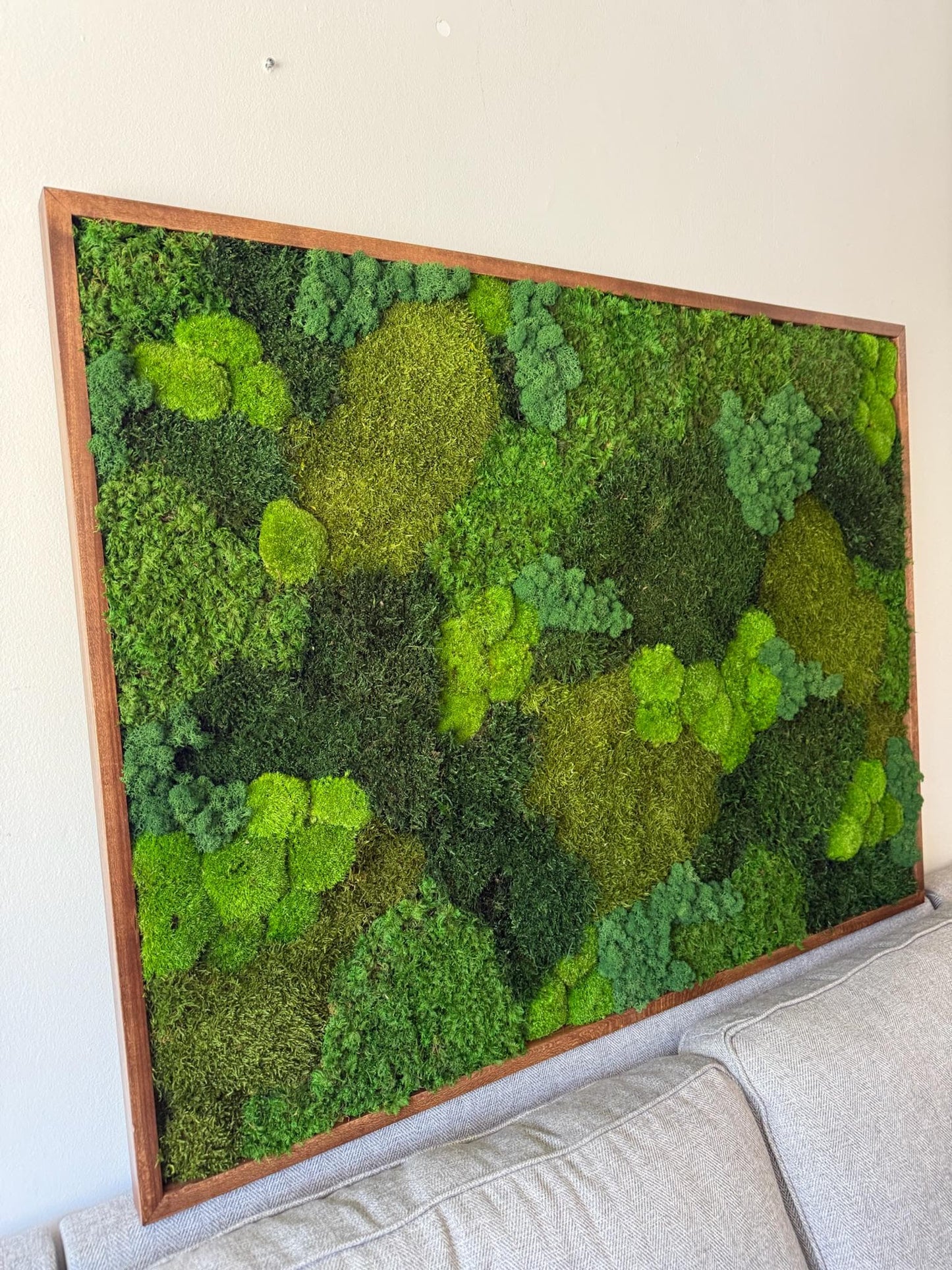 Large Preserved Reindeer Moss Wall Art in Wood Frame (36" x 48") | USA - TARIFF FREE