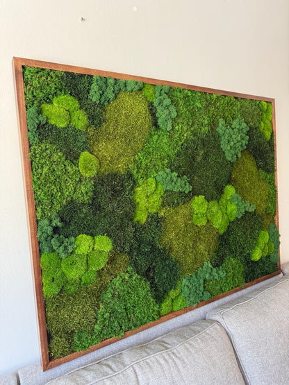Large Preserved Reindeer Moss Wall Art in Wood Frame (36" x 48") | USA - TARIFF FREE