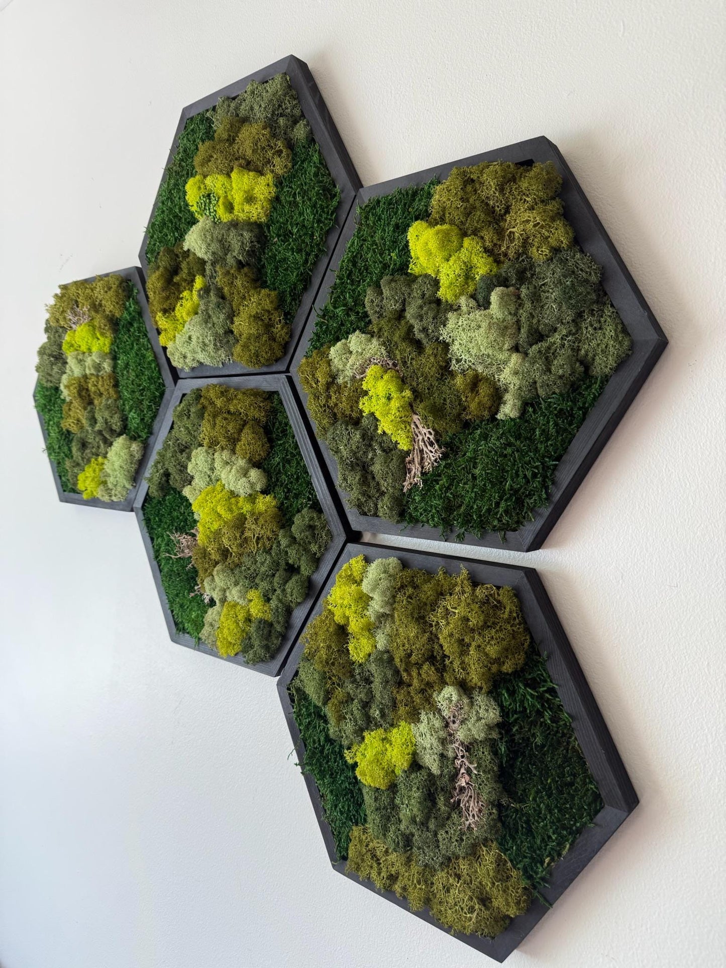 Handmade Reindeer Moss Wall Art: Hexagon Wood Frame Set | USA - TARIFF FREE