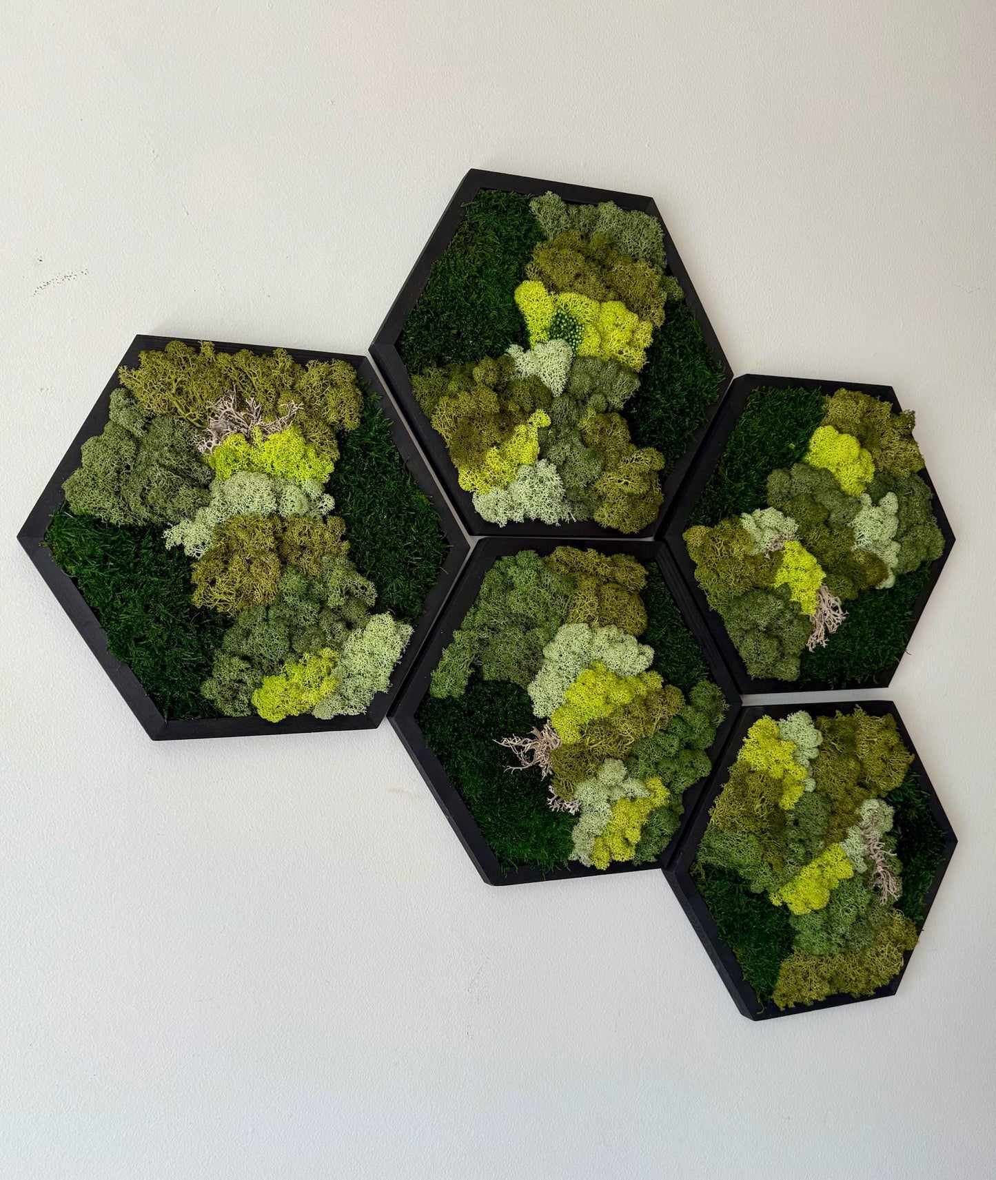 Handmade Reindeer Moss Wall Art: Hexagon Wood Frame Set | USA - TARIFF FREE