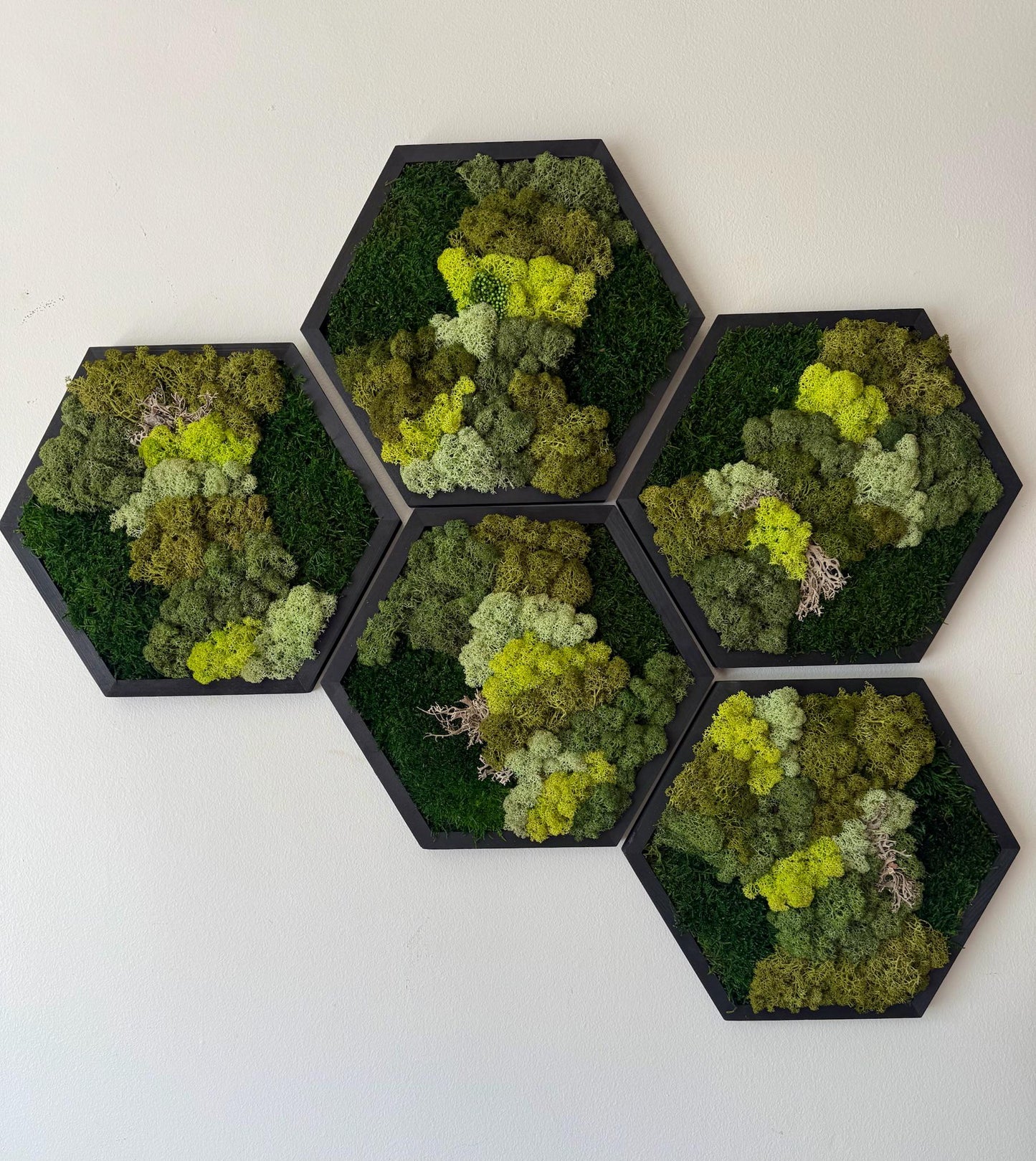 Handmade Reindeer Moss Wall Art: Hexagon Wood Frame Set | USA - TARIFF FREE