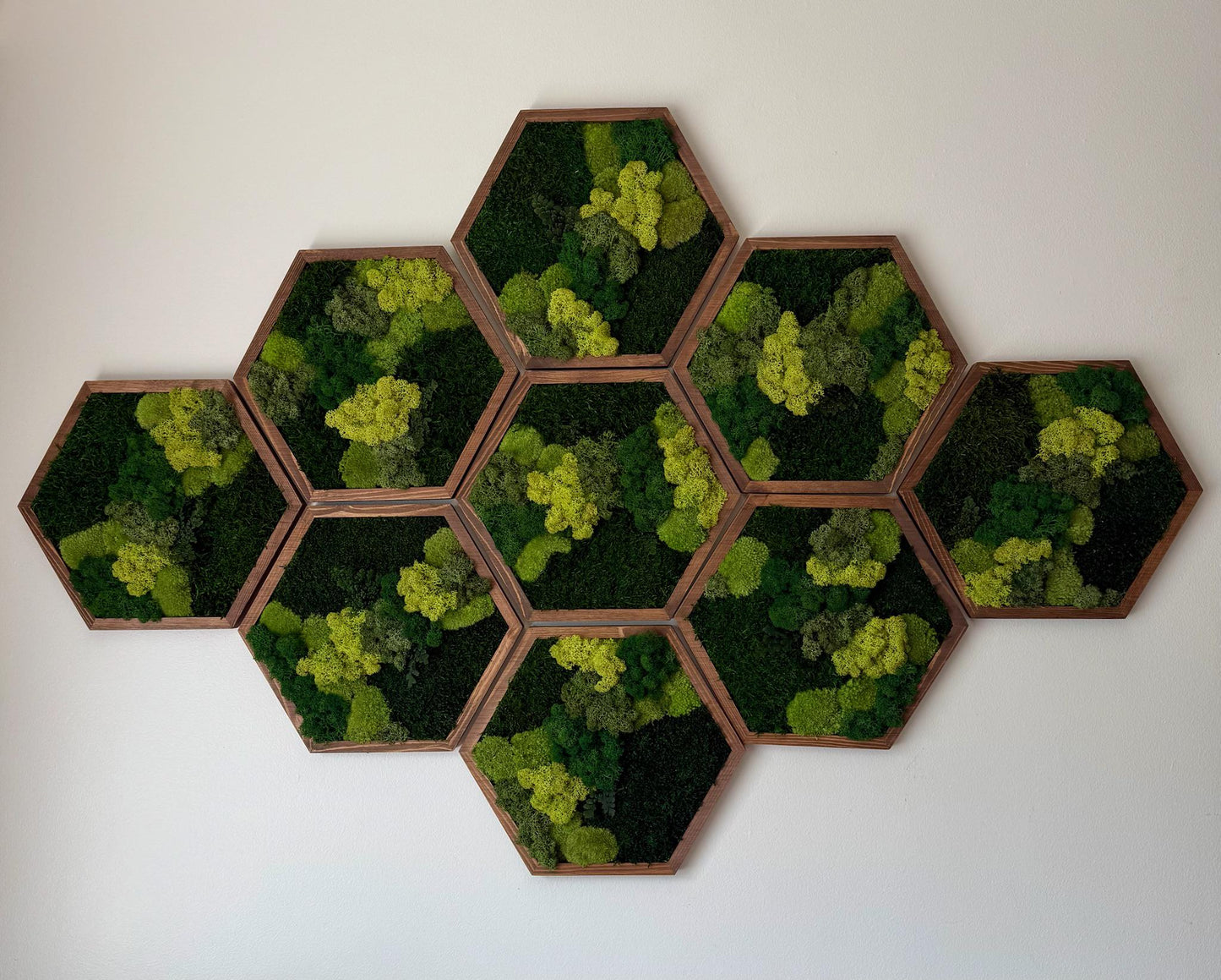 Honeycomb Moss Wall Art: Reindeer, Pole & Sheet Moss Hexagon | USA - TARIFF FREE