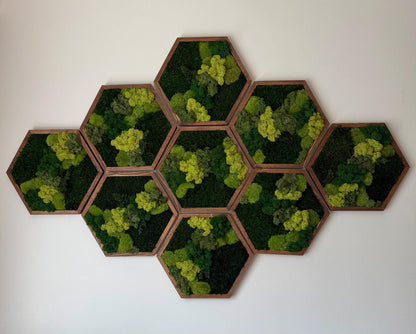 Honeycomb Moss Wall Art: Reindeer, Pole & Sheet Moss Hexagon | USA - TARIFF FREE