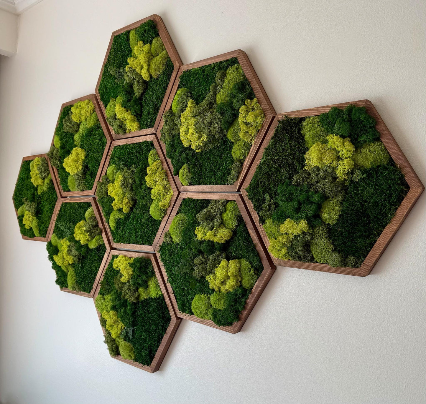 Honeycomb Moss Wall Art: Reindeer, Pole & Sheet Moss Hexagon | USA - TARIFF FREE