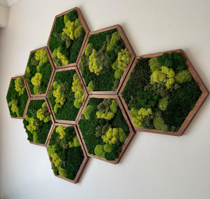 Honeycomb Moss Wall Art: Reindeer, Pole & Sheet Moss Hexagon | USA - TARIFF FREE