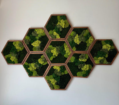 Honeycomb Moss Wall Art: Reindeer, Pole & Sheet Moss Hexagon | USA - TARIFF FREE