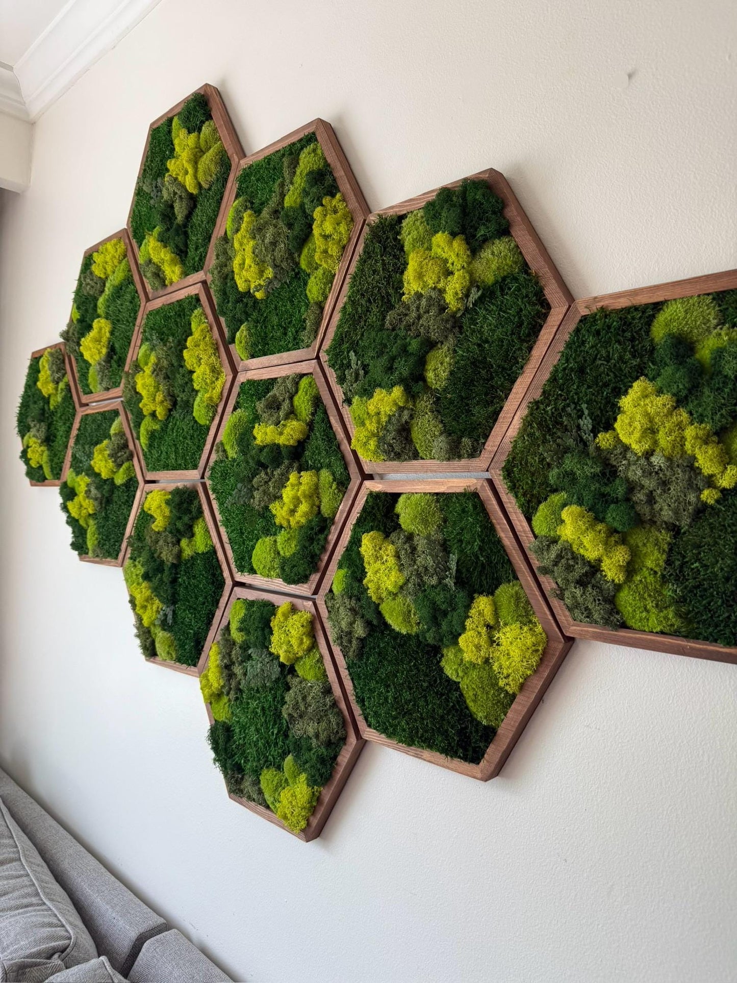 Honeycomb Moss Wall Art: Reindeer, Pole & Sheet Moss Hexagon | USA - TARIFF FREE