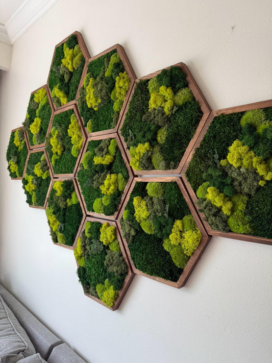 Honeycomb Moss Wall Art: Reindeer, Pole & Sheet Moss Hexagon | USA - TARIFF FREE