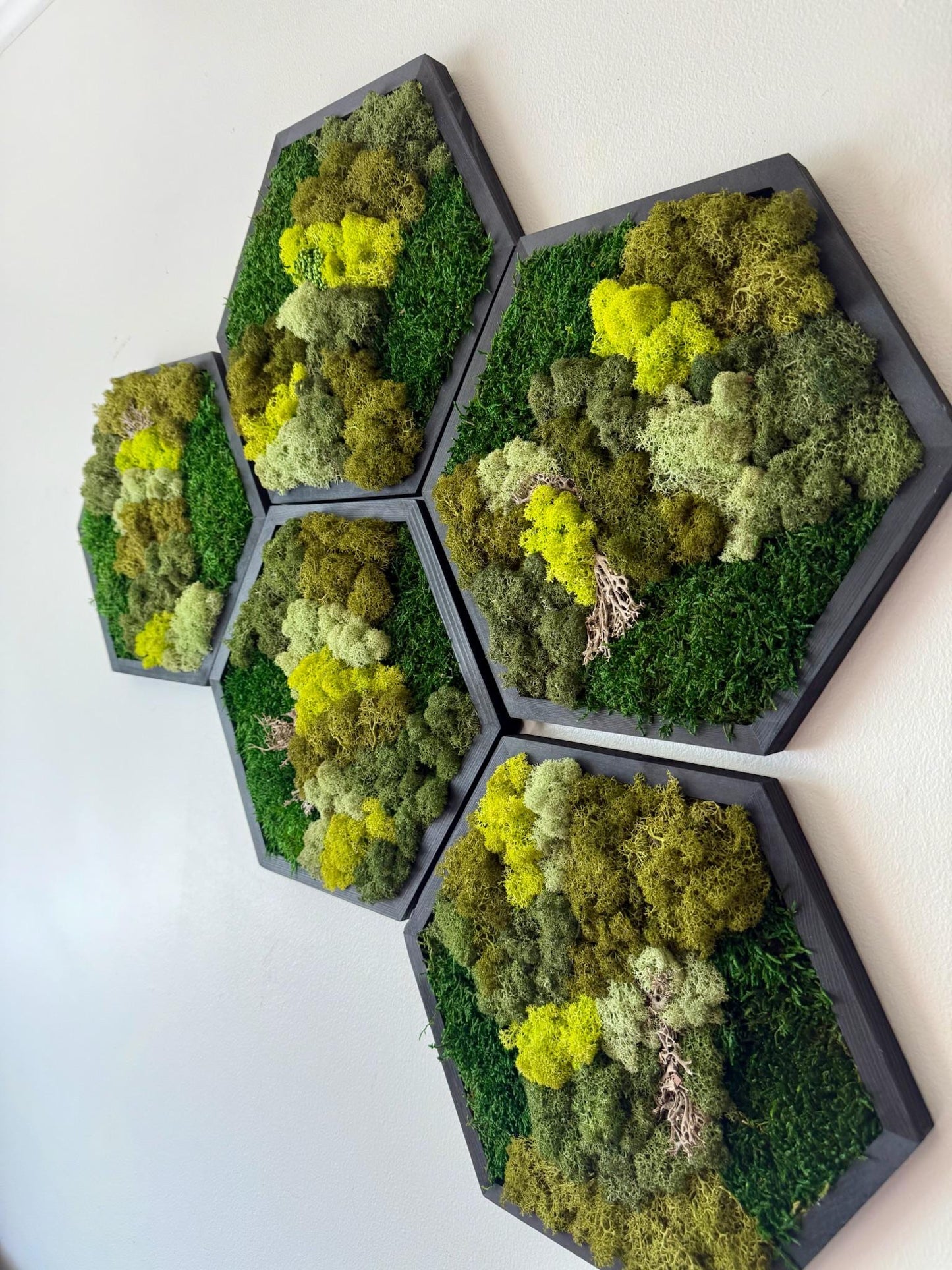 Handmade Reindeer Moss Wall Art: Hexagon Wood Frame Set | USA - TARIFF FREE