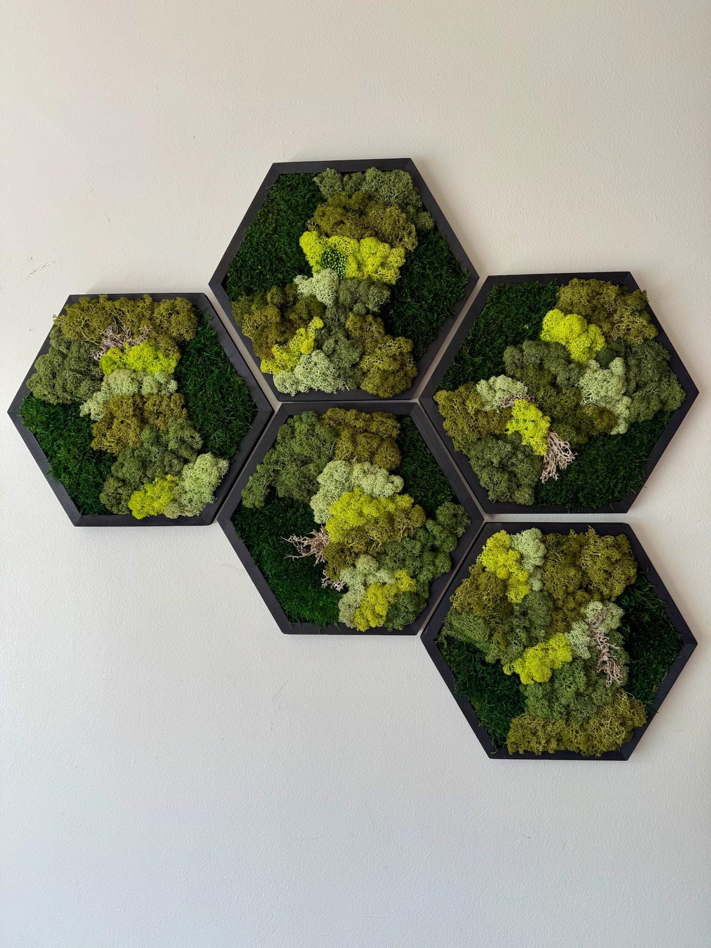 Handmade Reindeer Moss Wall Art: Hexagon Wood Frame Set | USA - TARIFF FREE