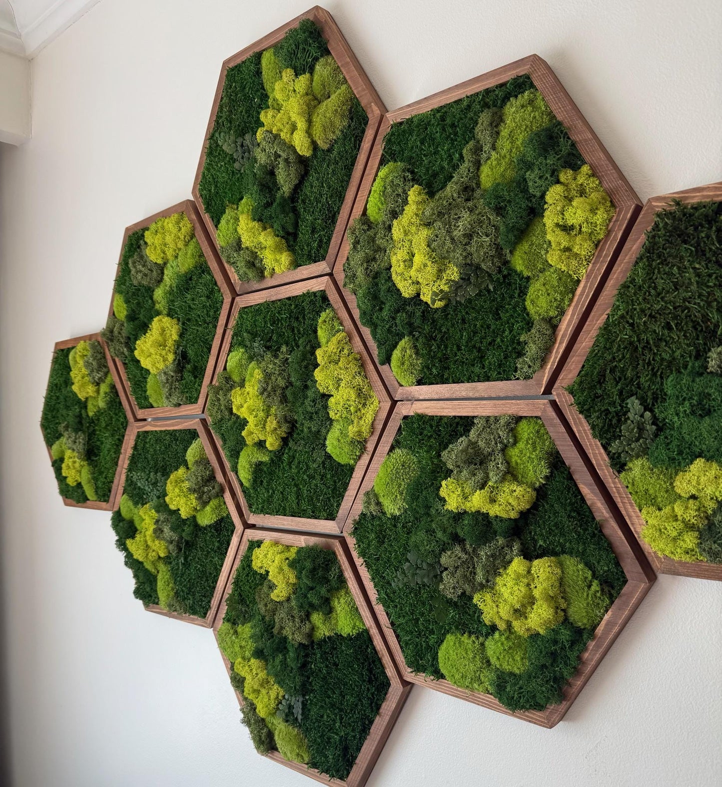 Honeycomb Moss Wall Art: Reindeer, Pole & Sheet Moss Hexagon | USA - TARIFF FREE