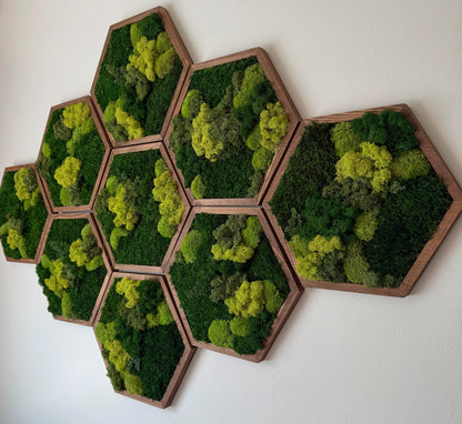 Honeycomb Moss Wall Art: Reindeer, Pole & Sheet Moss Hexagon | USA - TARIFF FREE