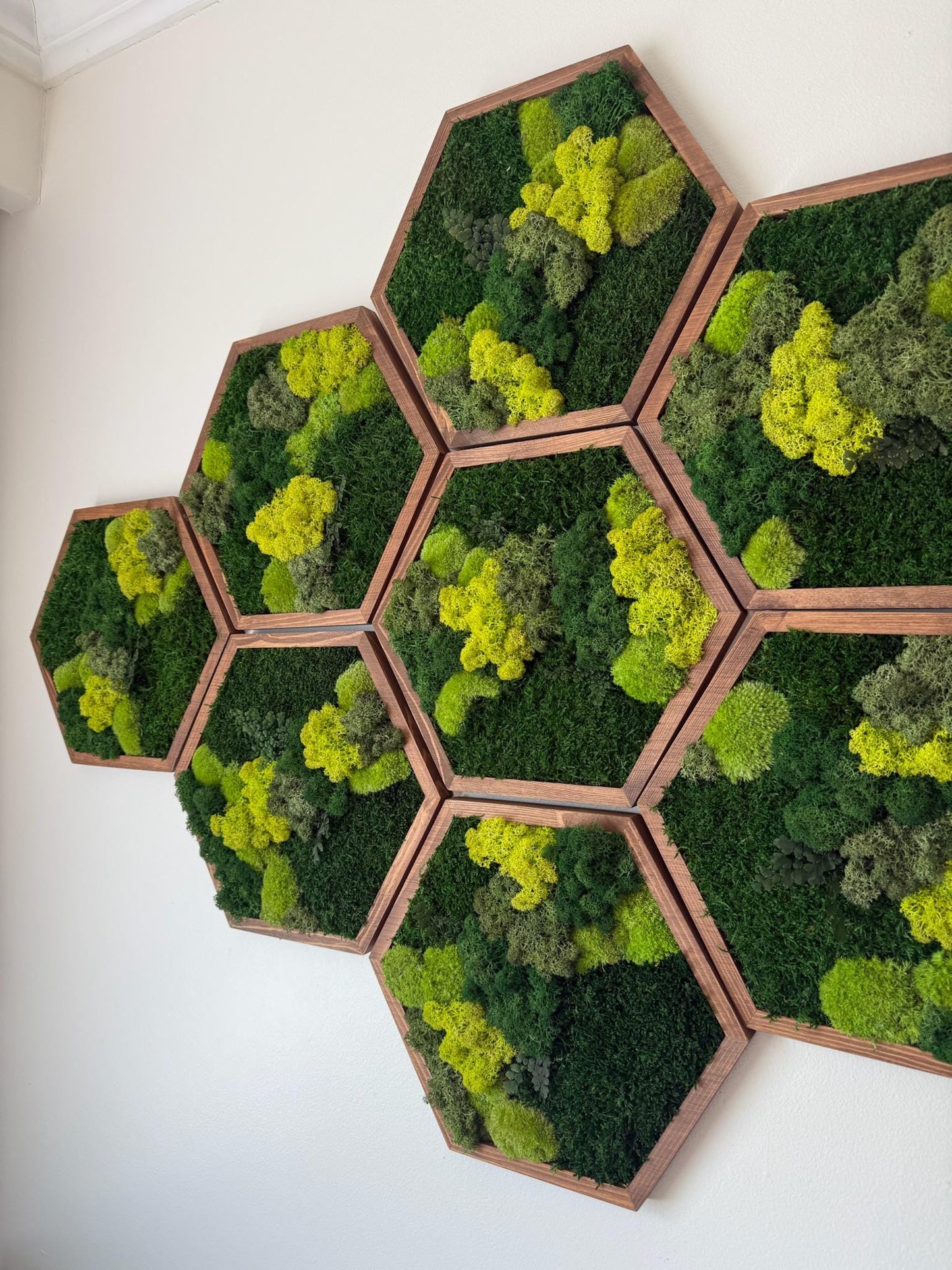 Honeycomb Moss Wall Art: Reindeer, Pole & Sheet Moss Hexagon | USA - TARIFF FREE