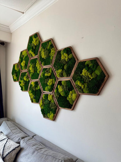 Honeycomb Moss Wall Art: Reindeer, Pole & Sheet Moss Hexagon | USA - TARIFF FREE