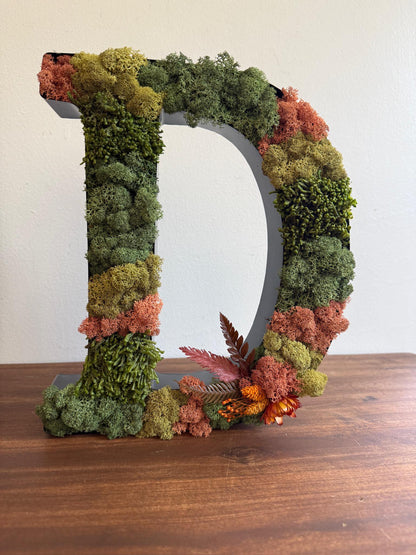 Preserved Moss Wall Letter: Custom Reindeer Moss Art | USA - TARIFF FREE